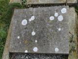 image of grave number 477946